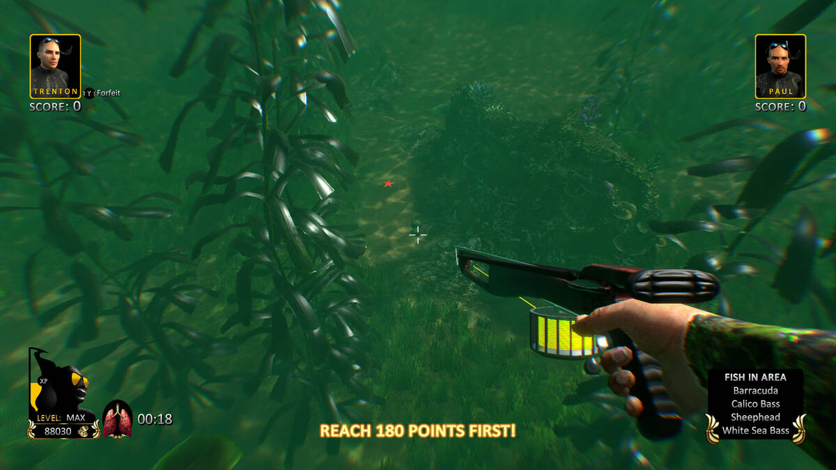 Скриншот 8 к игре Freediving Hunter Spearfishing the World