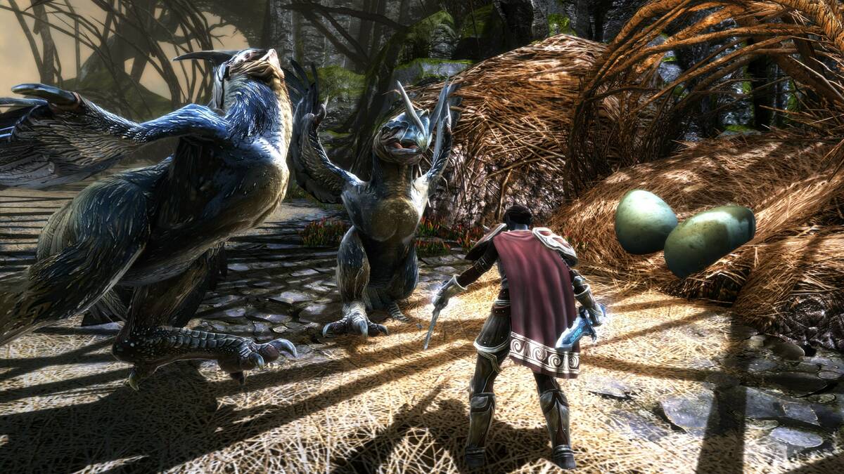 Скриншот 7 к игре Kingdoms of Amalur: Re-Reckoning