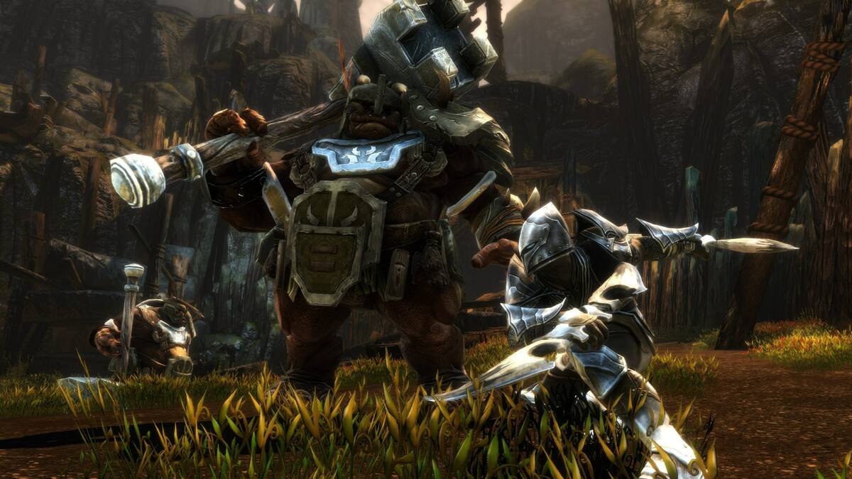 Скриншот 8 к игре Kingdoms of Amalur: Re-Reckoning