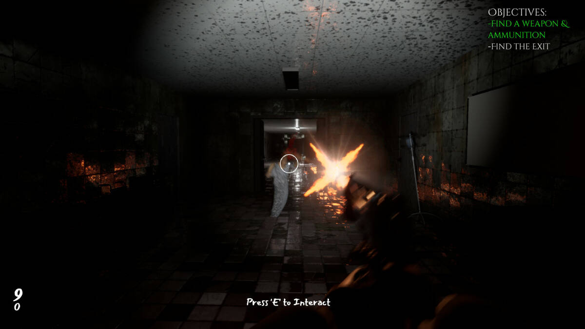 Скриншот 5 к игре Hanefield Asylum