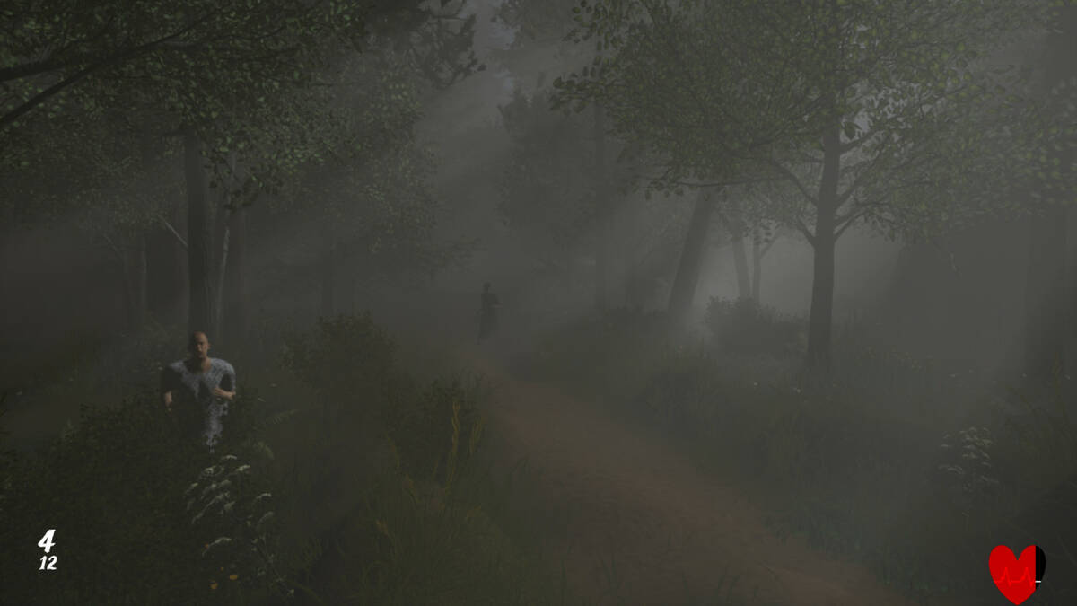 Скриншот 8 к игре Hanefield Asylum