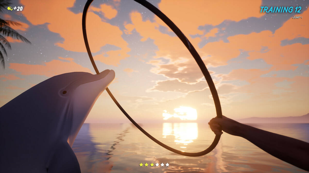 Скриншот 7 к игре Dolphin Trainer VR