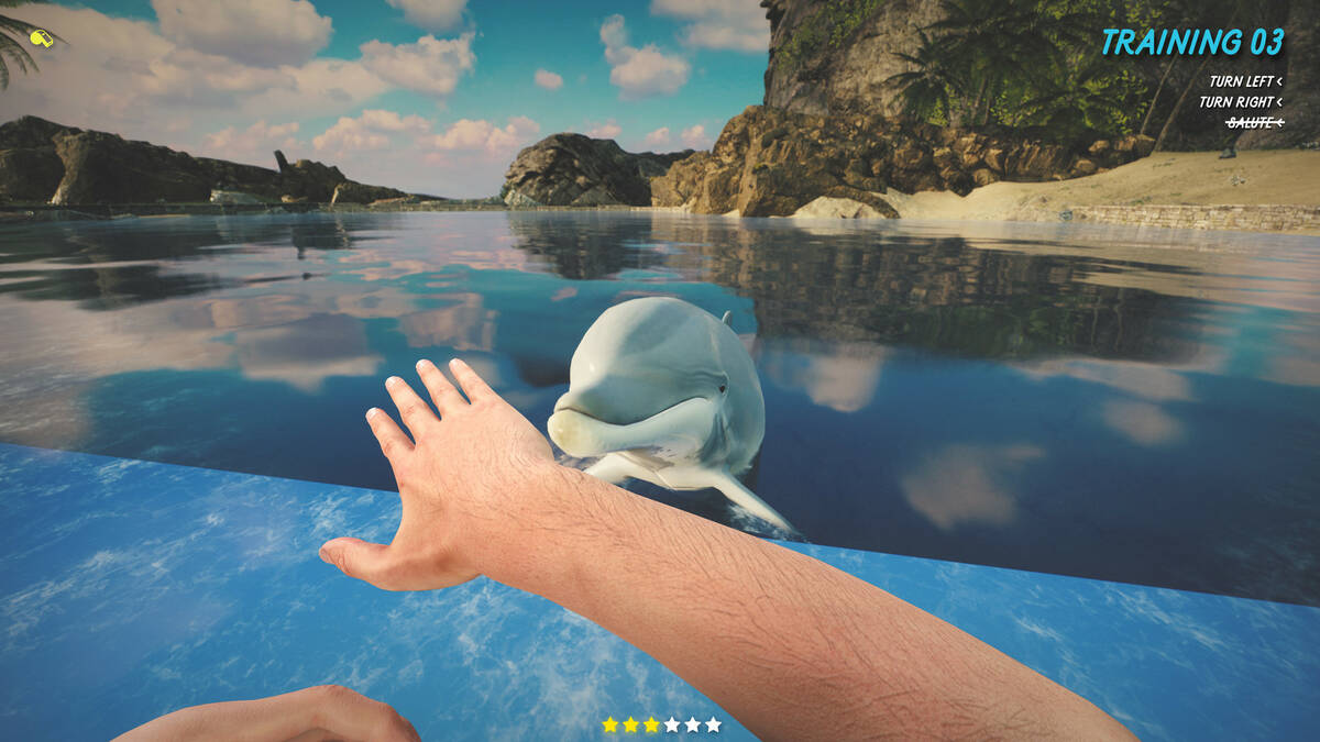 Скриншот 8 к игре Dolphin Trainer VR