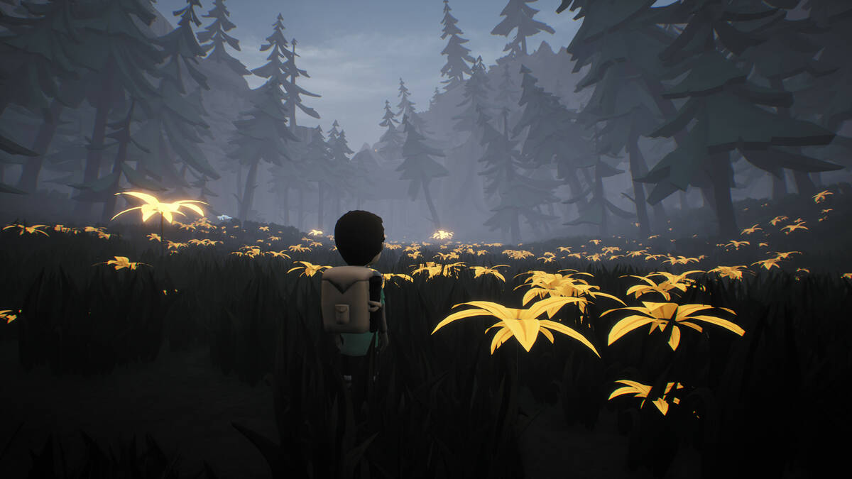 Скриншот 7 к игре Bound Forest Alpha