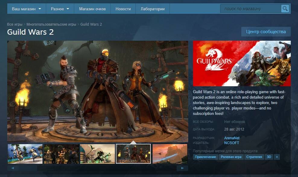 Guild Wars 2 выйдет в Steam