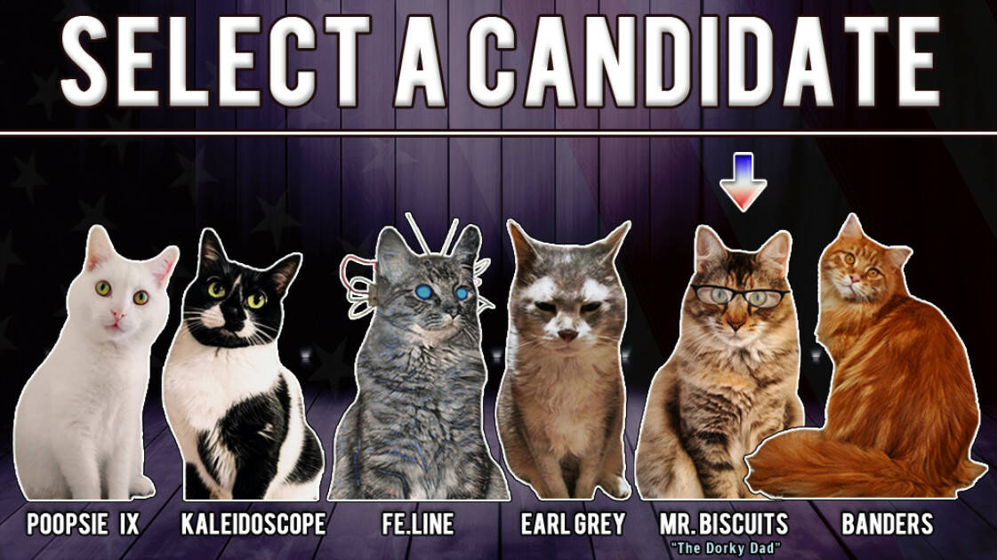 Скриншот 7 к игре Cat President 2: Purrlitical Revolution