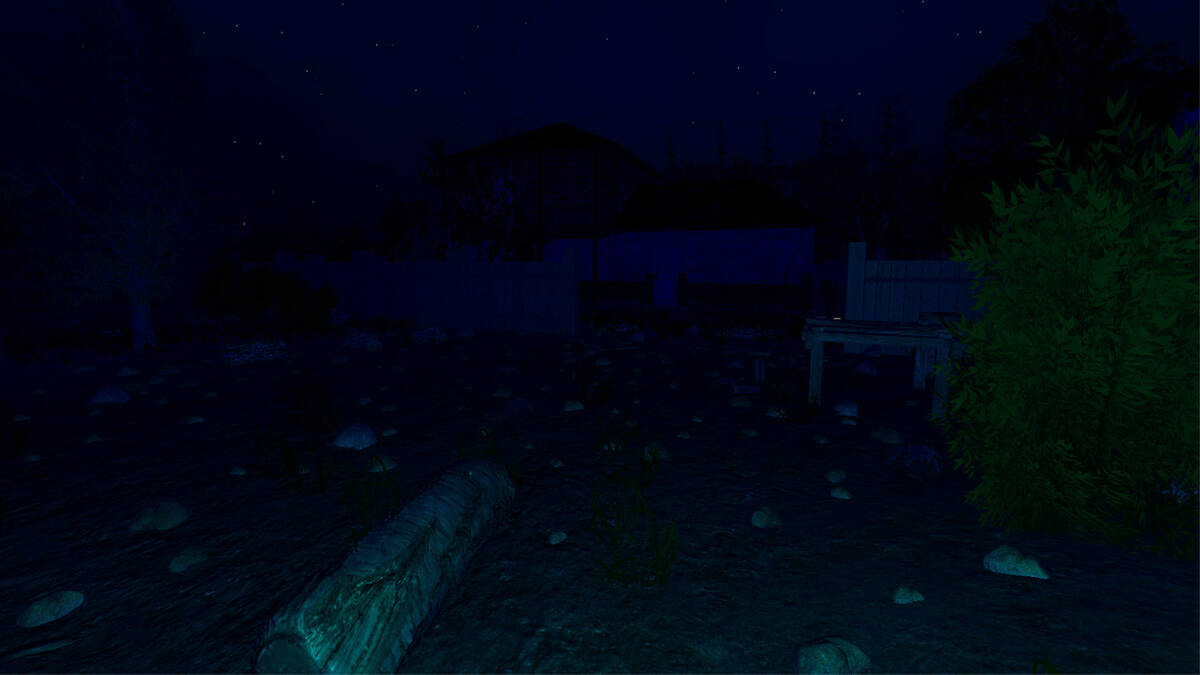 Скриншот 5 к игре Last Visit