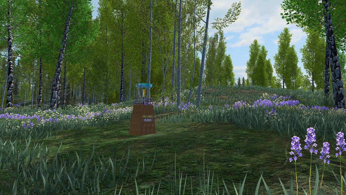 Скриншот 5 к игре Disc Golf Adventure 2 VR