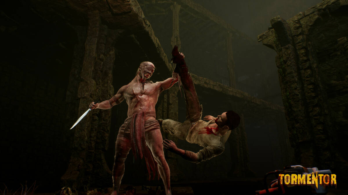 Скриншот 6 к игре TORMENTOR