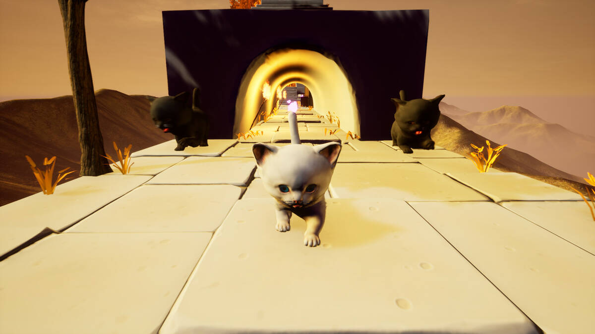 Скриншот 8 к игре Cat Go! Ultimate Challenge