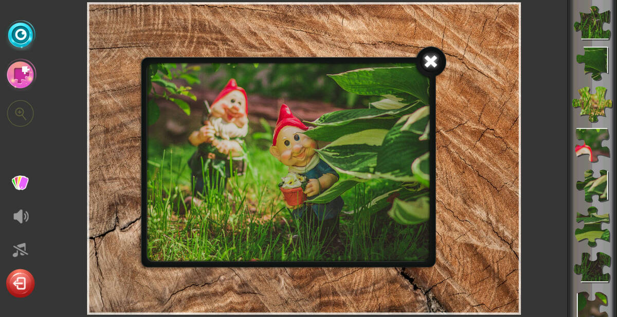 Скриншот 7 к игре Gnome Jigsaw Puzzles