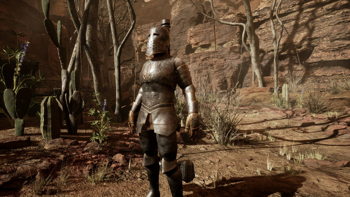 Скриншот 5 к игре The Hopebringer