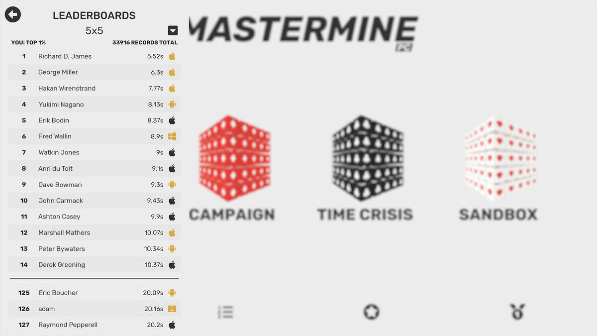 Скриншот 6 к игре Mastermine