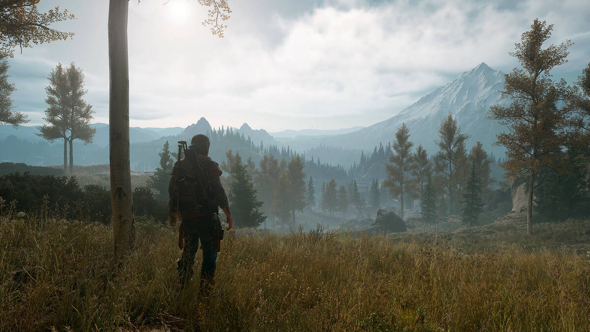 Скриншот 5 к игре Days Gone