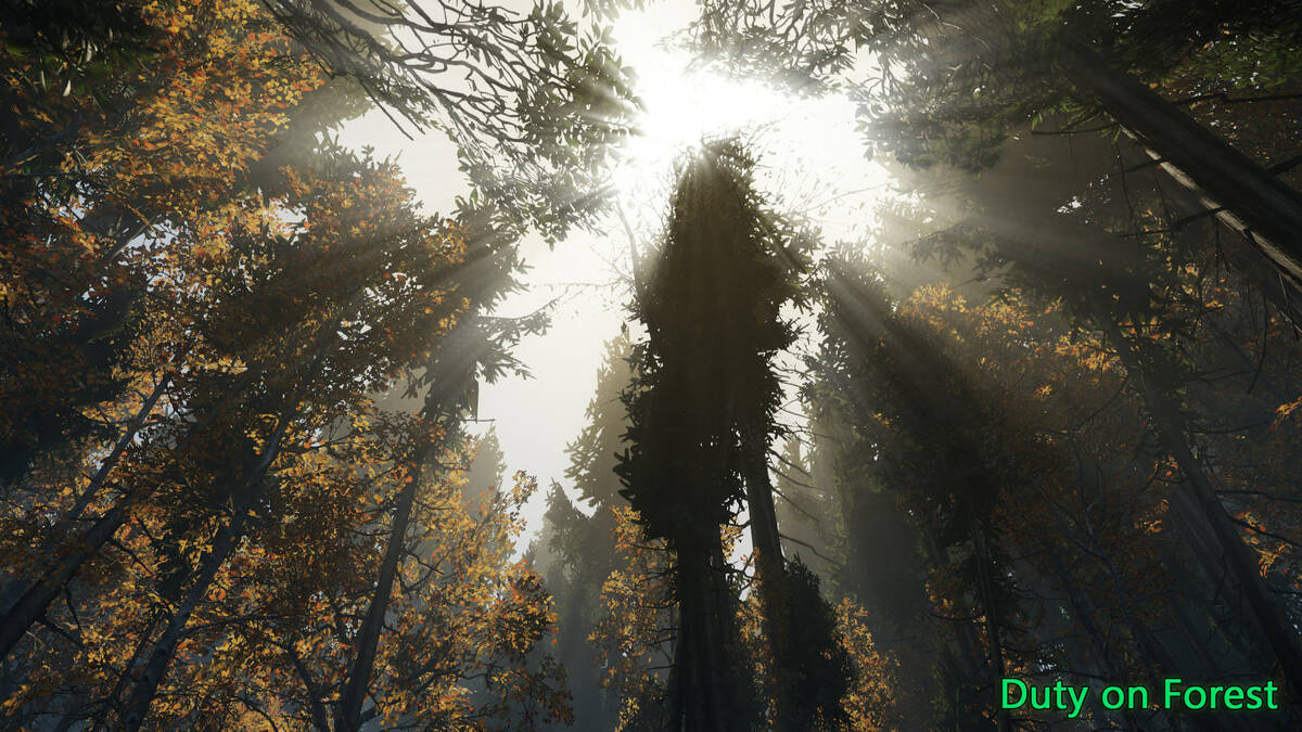 Скриншот 6 к игре Duty in the Forest
