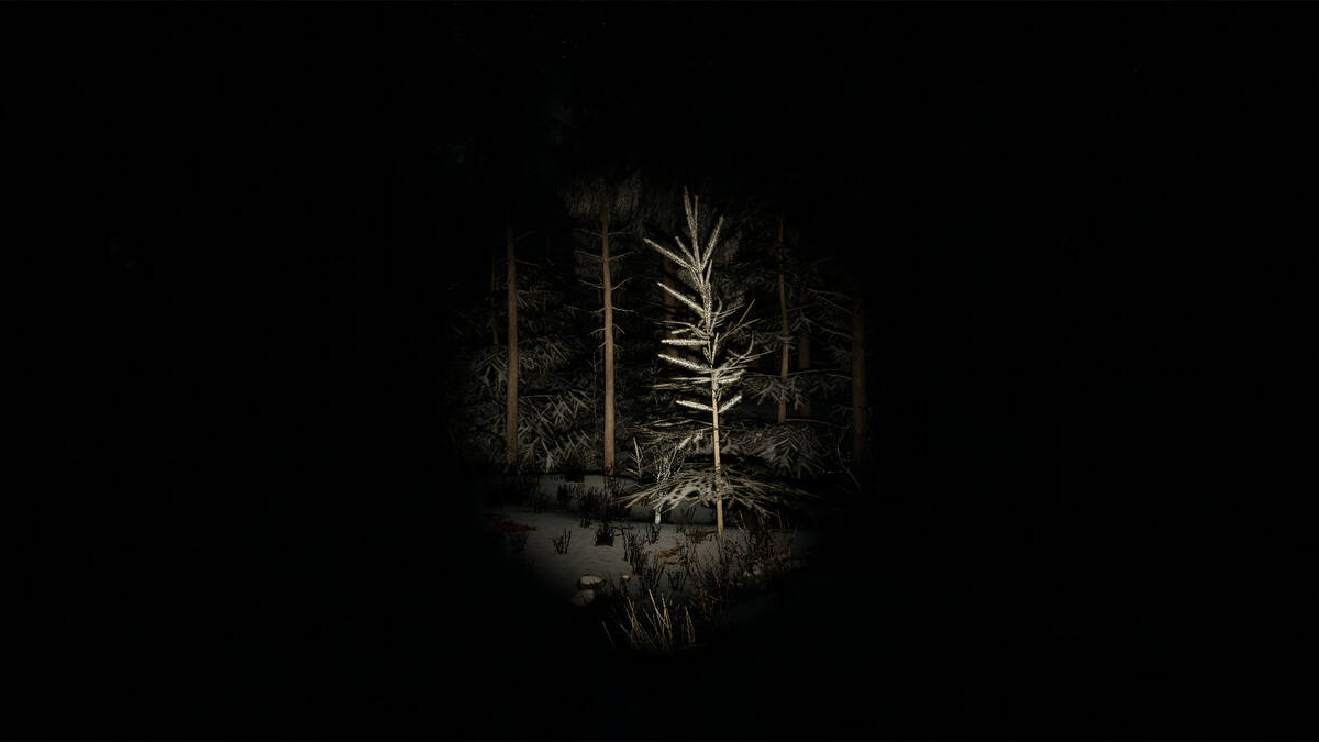 Скриншот 8 к игре Unknown Woods