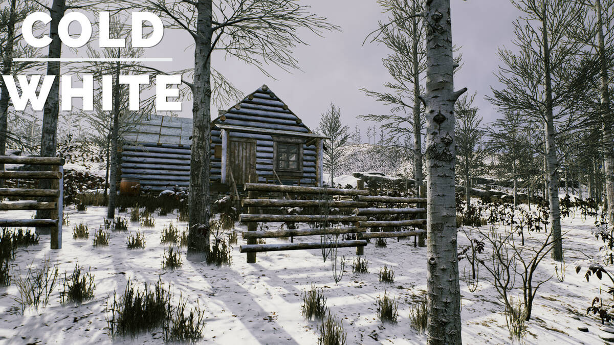 Скриншот 5 к игре The Cold White