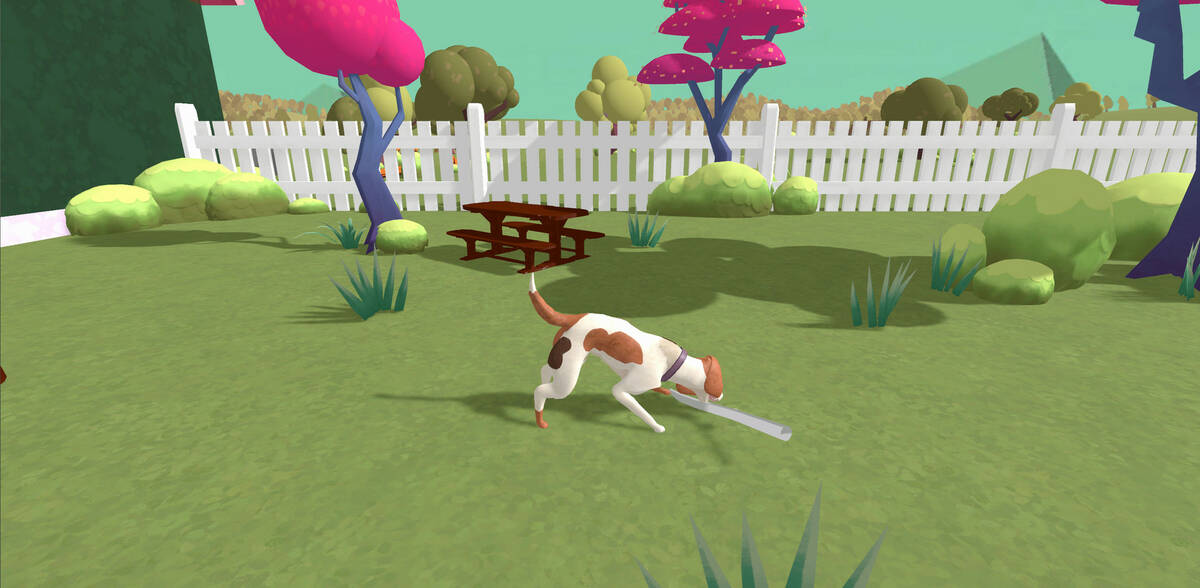 Скриншот 5 к игре DOGGONE