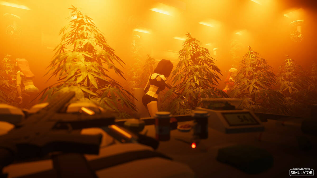 Скриншот 8 к игре Drug Grower Simulator