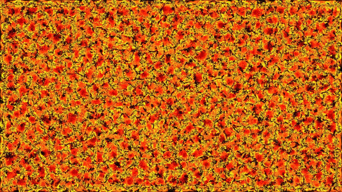 Скриншот 7 к игре PHYSARUM: Slime Mold Simulator
