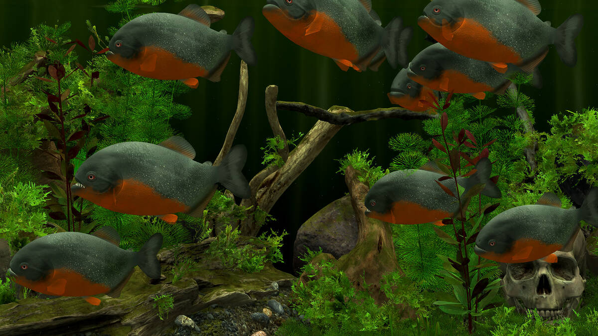 Скриншот 7 к игре Behind Glass: Aquarium Simulator