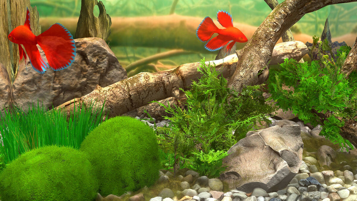 Скриншот 8 к игре Behind Glass: Aquarium Simulator