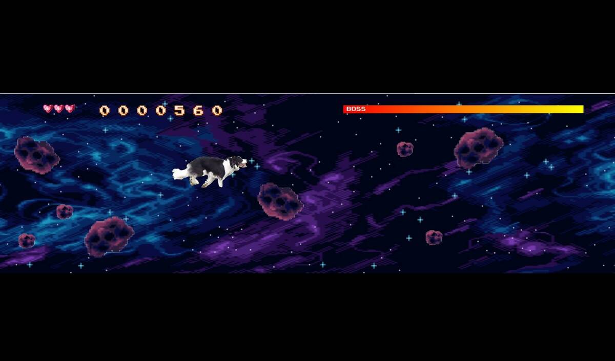 Скриншот 5 к игре BorderCollie Blaster