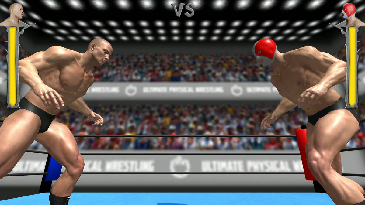 Скриншот 5 к игре Ultimate Physical Wrestling