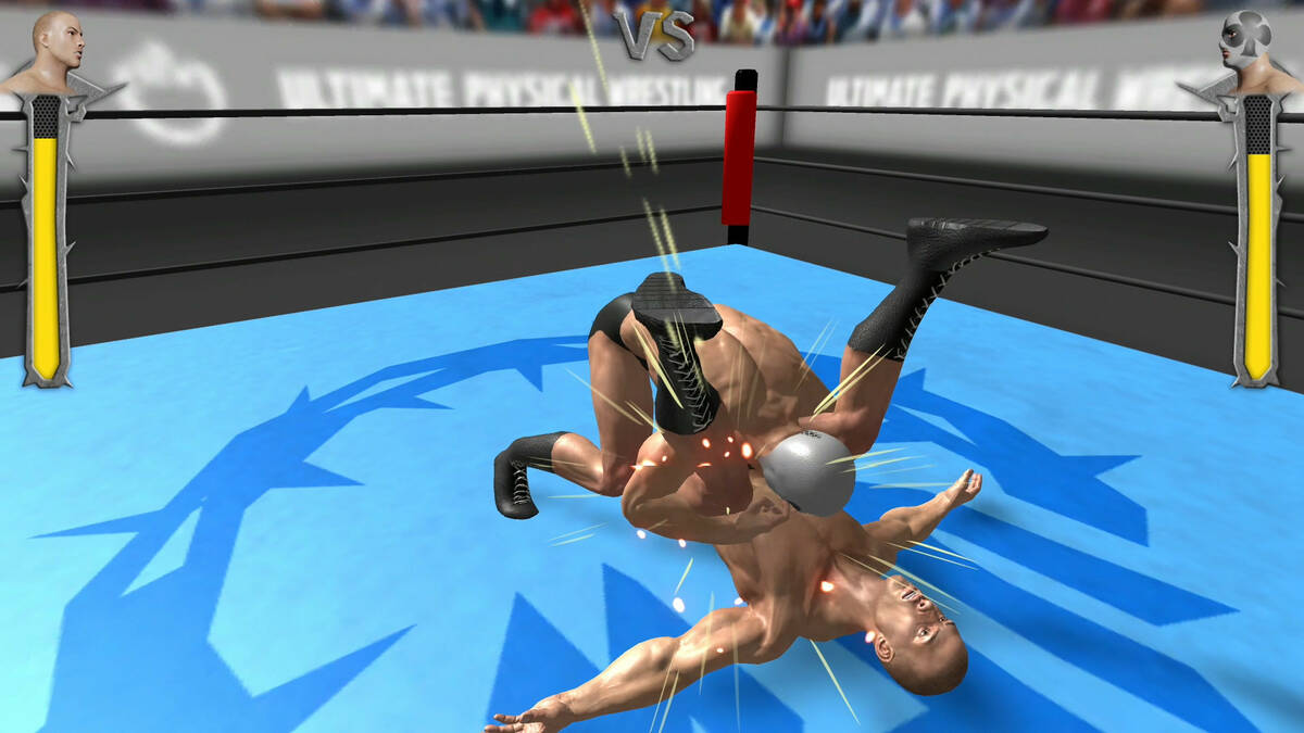 Скриншот 7 к игре Ultimate Physical Wrestling