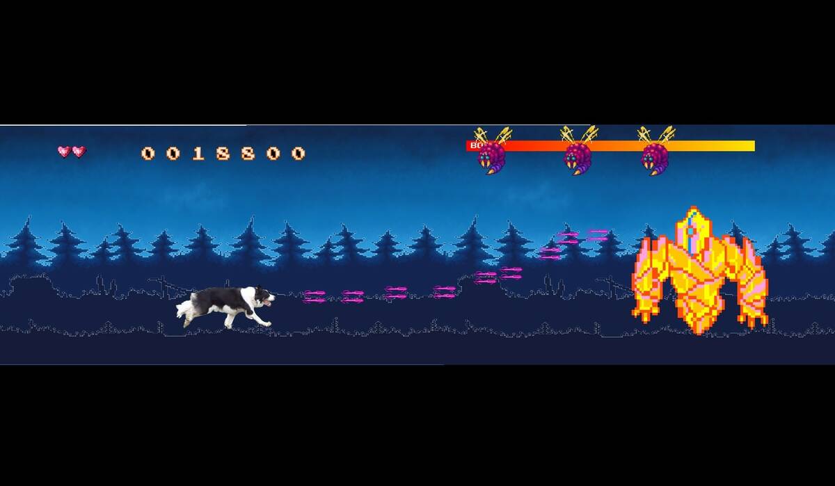 Скриншот 5 к игре BorderCollie Game 2 - Bordercollie Blaster Demo