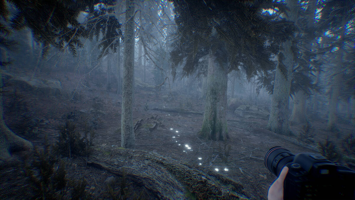 Скриншот 5 к игре Photography Simulator