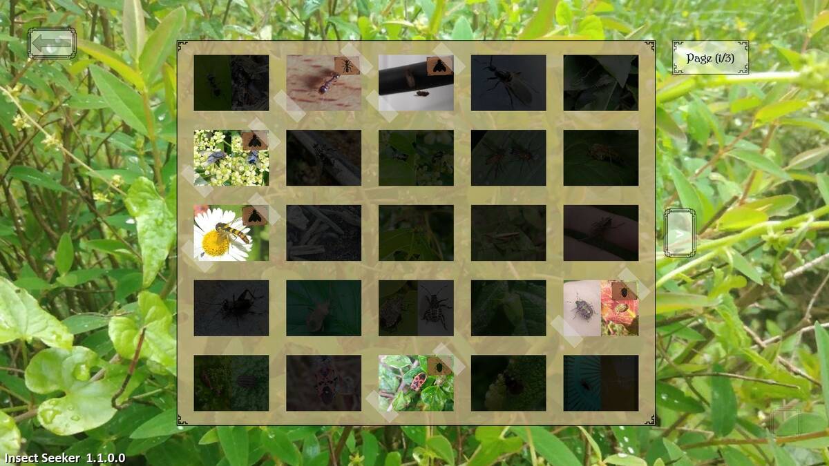 Скриншот 5 к игре Insect Seeker