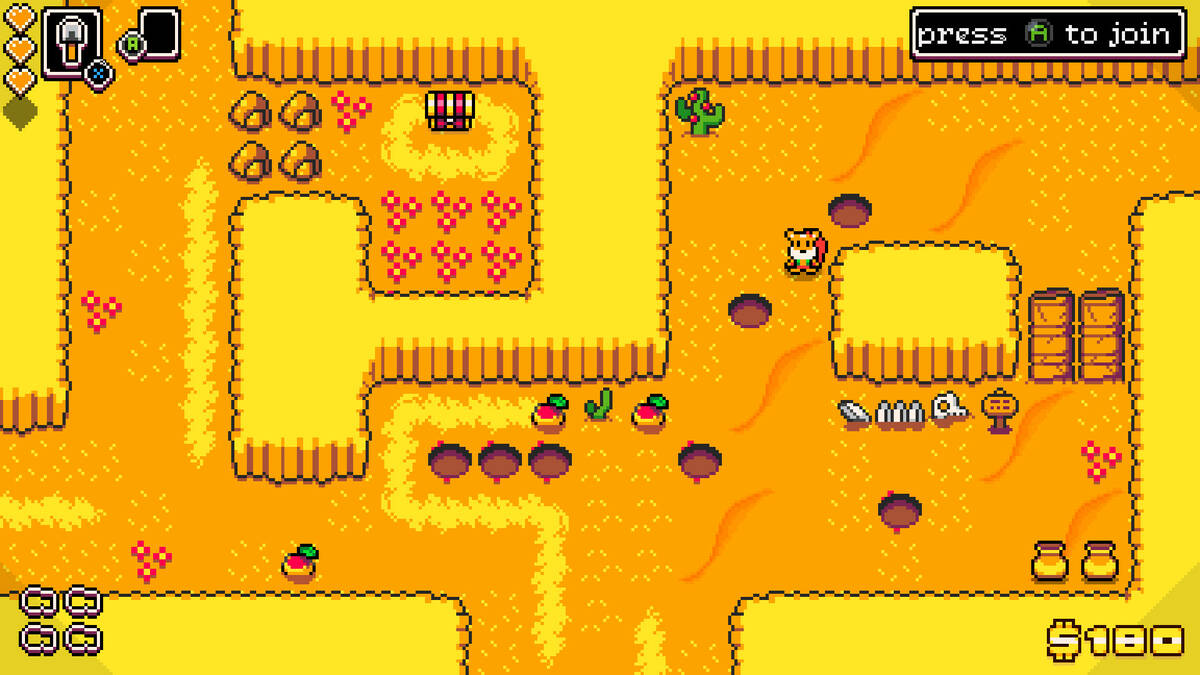 Скриншот 5 к игре Dandy & Randy DX
