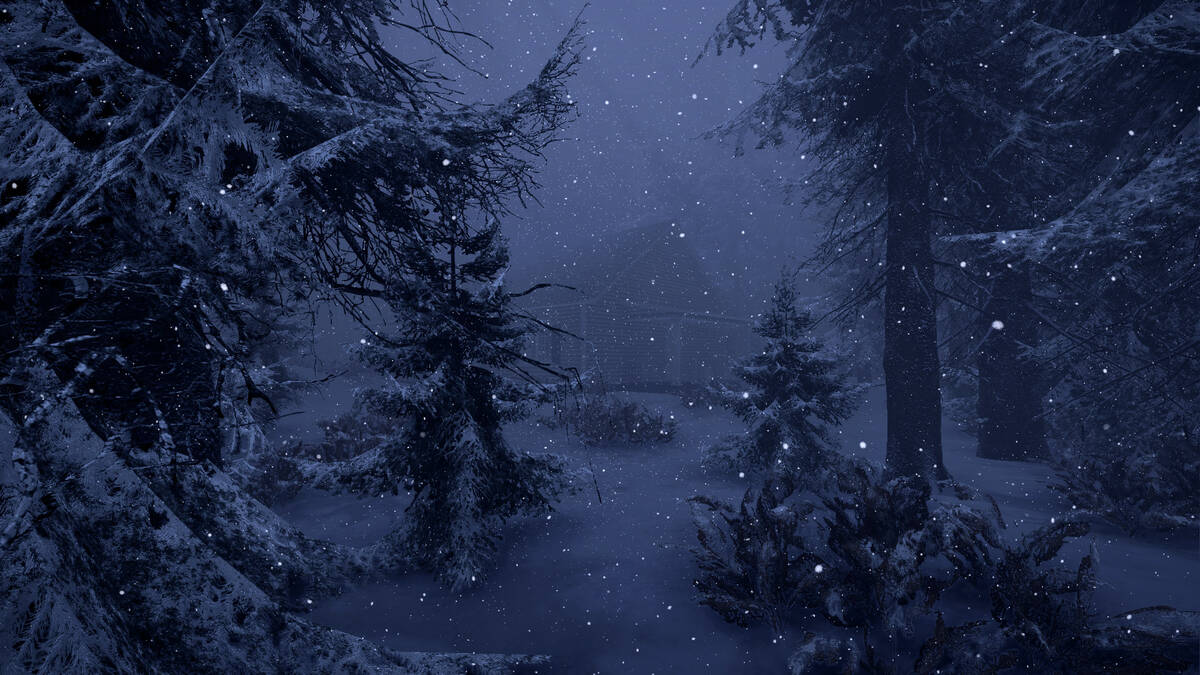 Скриншот 5 к игре Snowstorm of despair