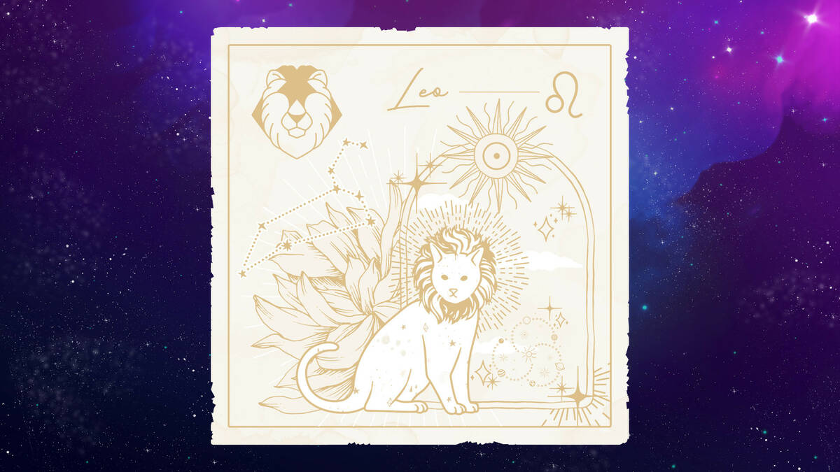 Скриншот 6 к игре Zodiacats