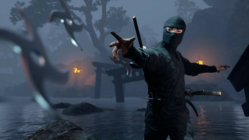 Скриншот 5 к игре Ninja Simulator: Prologue