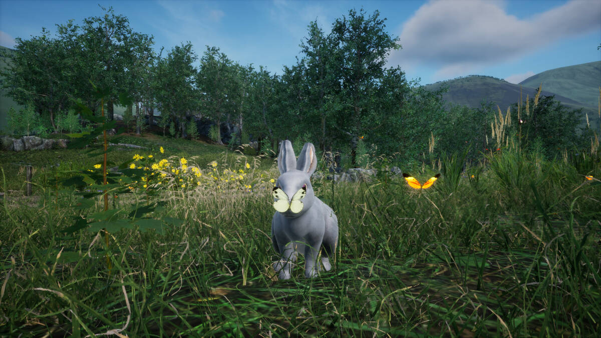 Скриншот 5 к игре Rabbit Meadow