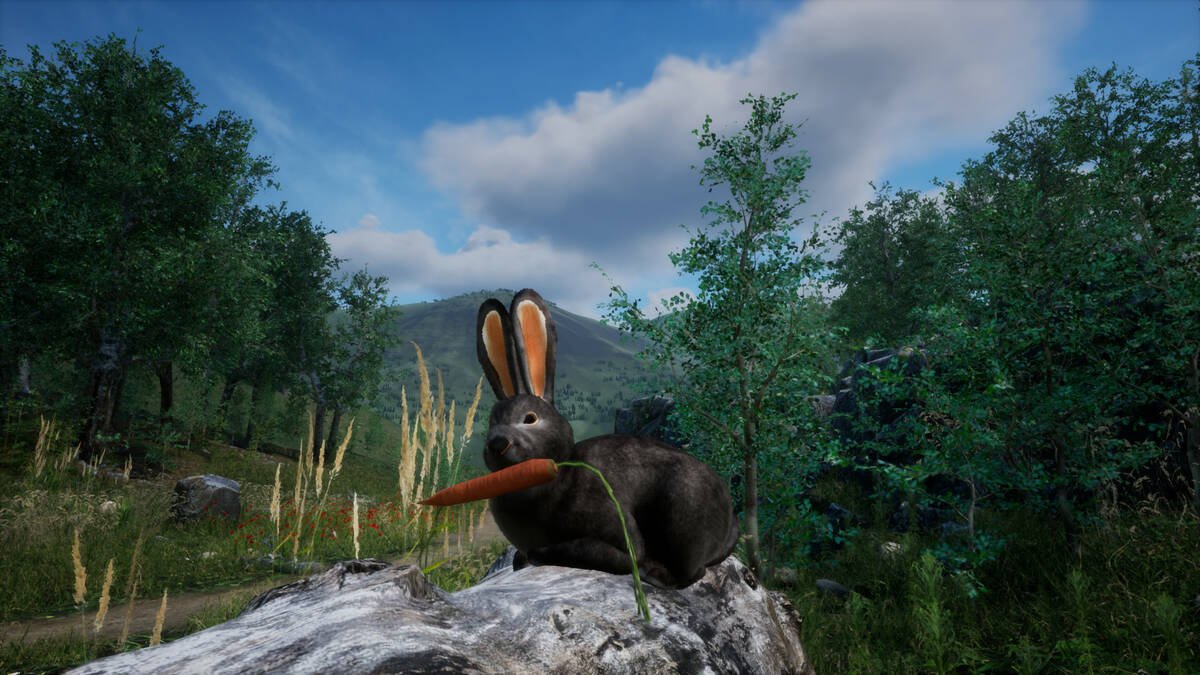 Скриншот 6 к игре Rabbit Meadow