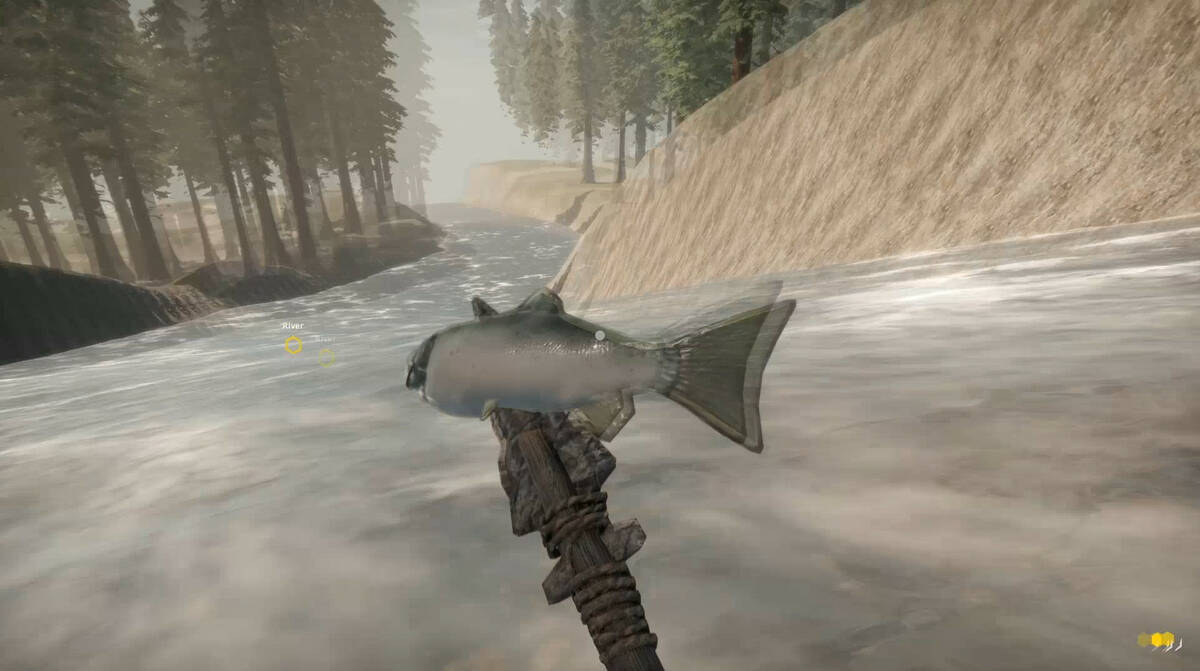 Скриншот 7 к игре Missing Plane: Survival
