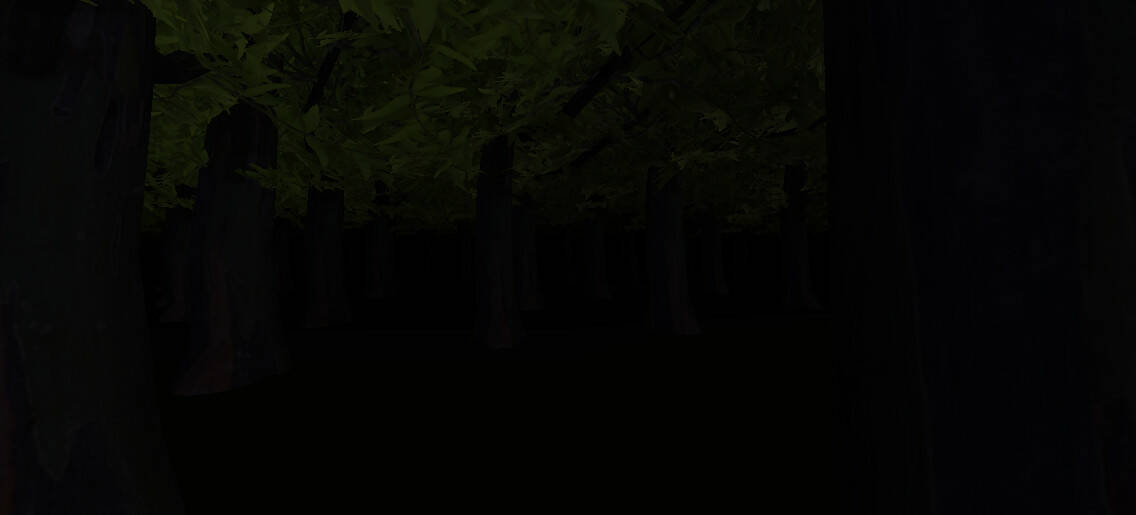 Скриншот 5 к игре Midnight at Forest