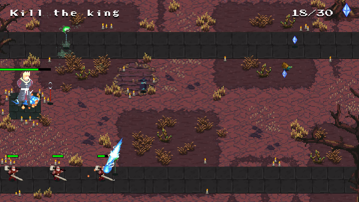 Скриншот 5 к игре Witch Sacrifice