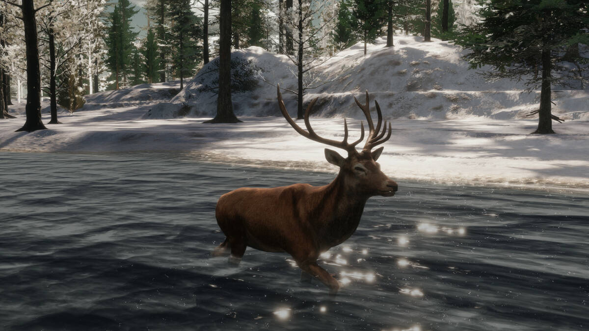 Скриншот 6 к игре The WILDS