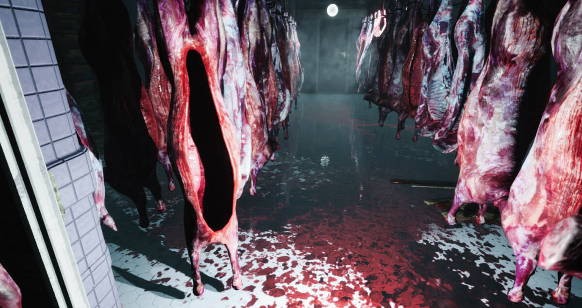Скриншот 7 к игре Horror In Valkeala