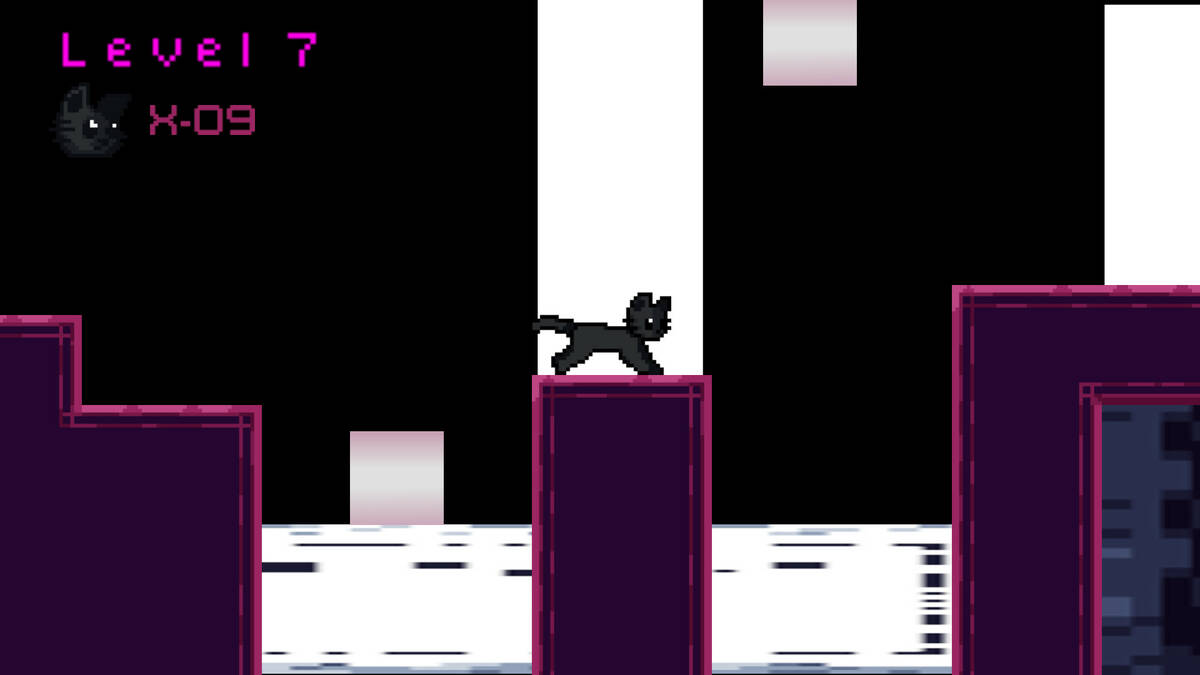 Скриншот 5 к игре The Quantum Cat