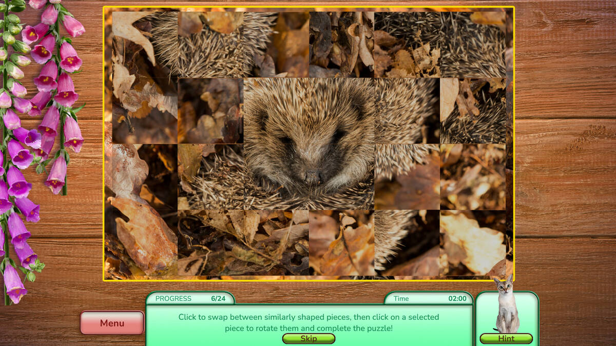 Скриншот 6 к игре I Love Finding Critters