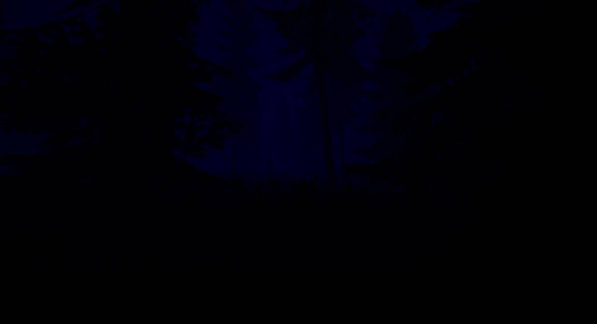 Скриншот 6 к игре Slender: The Eight Pages REMAKE