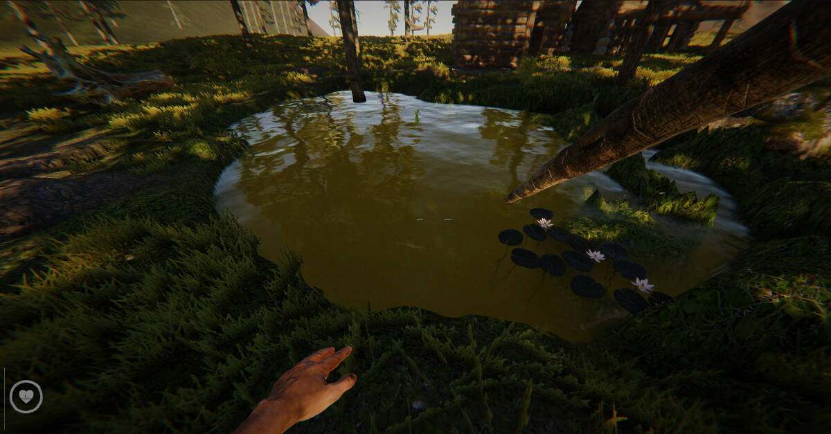 Скриншот 5 к игре THE WILDERNESS