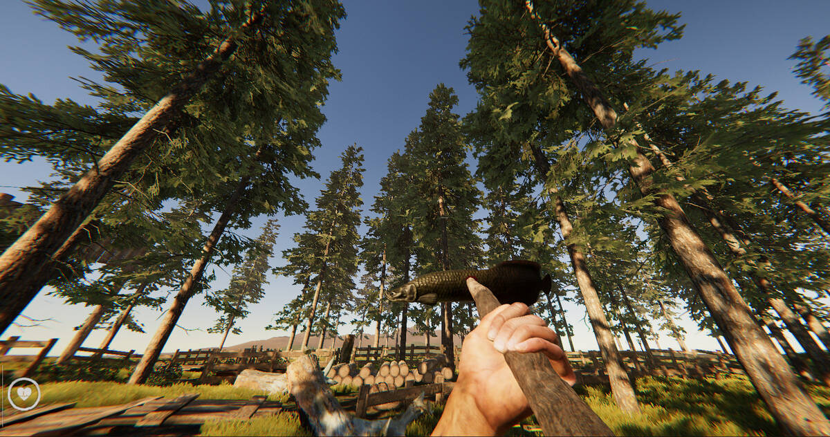Скриншот 7 к игре THE WILDERNESS