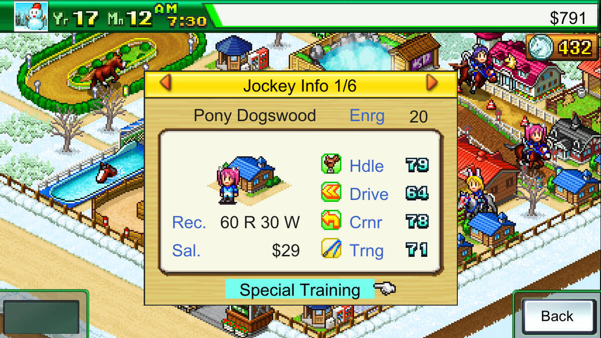 Скриншот 5 к игре Pocket Stables
