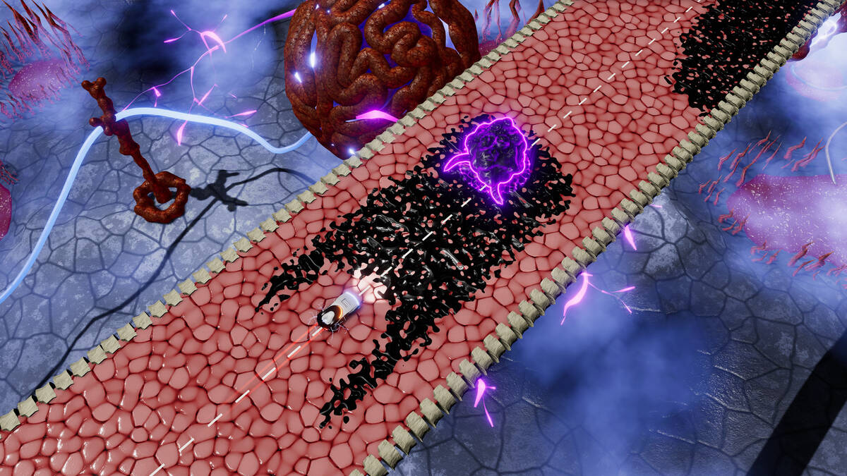 Скриншот 8 к игре Near the Fear